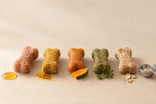 Top 5 Allergy Chews for Dogs in 2026