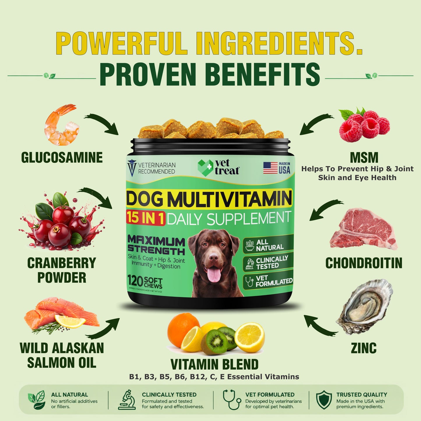 Dog Multivitamin 15 in 1 Daily Supplement - 120 Chews