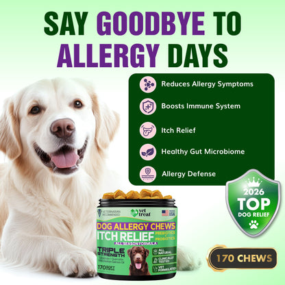 Dog Allergy Chews Itch Relief - 170 Chews