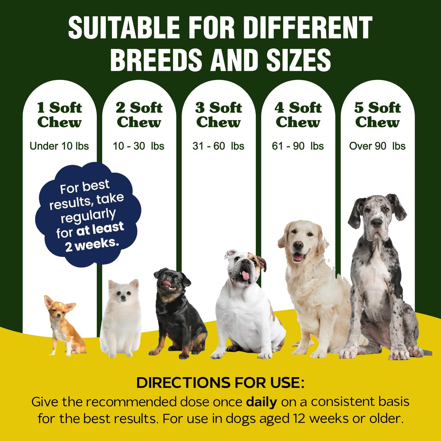 Dog Multivitamin 15 in 1 Daily Supplement - 120 Chews