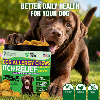 Dog Allergy Chews Itch Relief - 170 Chews
