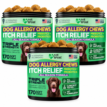 Dog Allergy Chews – 170 Soft Chews | Vet Treat