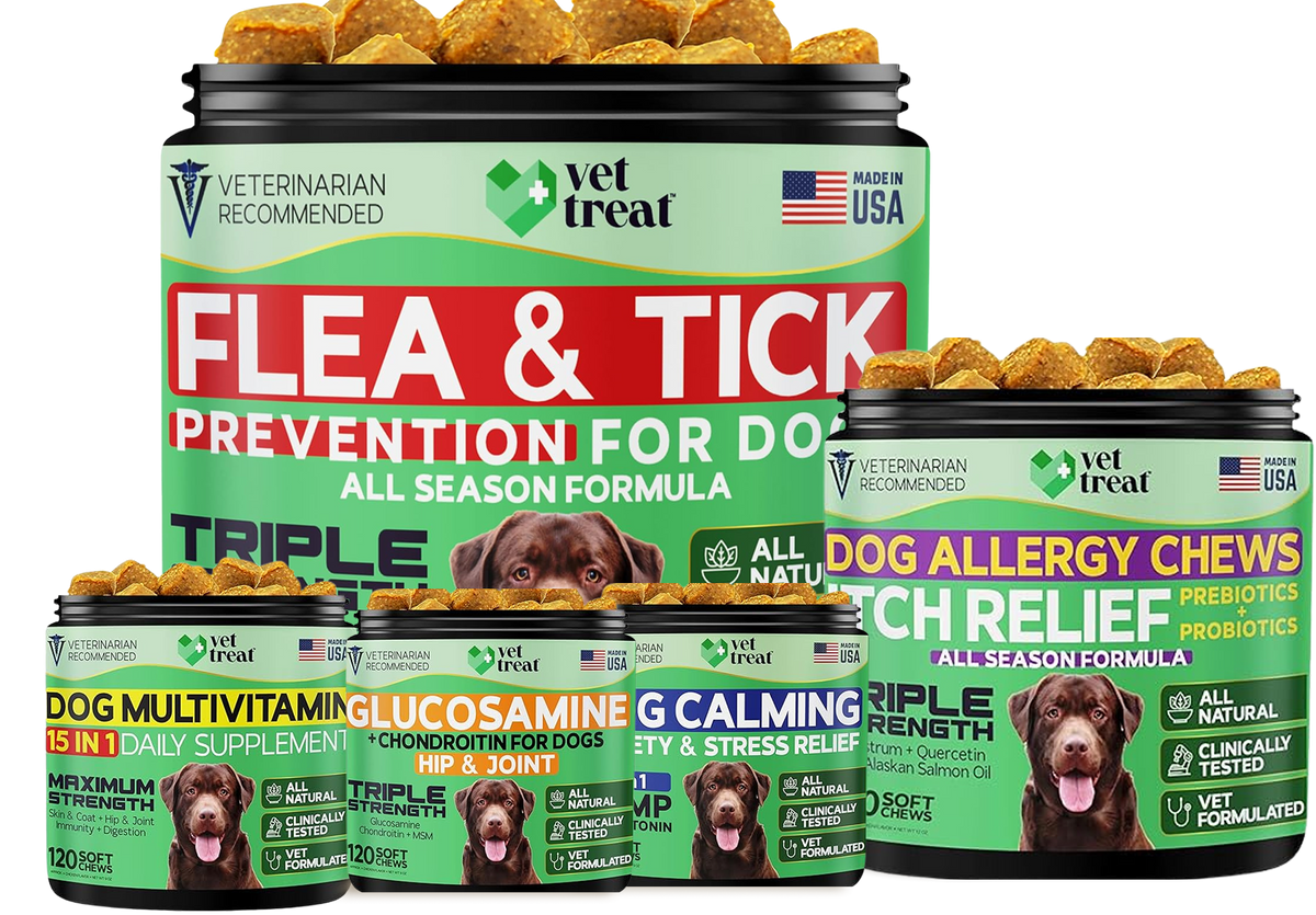 INCREASE THE HEALTH-SPAN OF YOUR BELOVED DOG