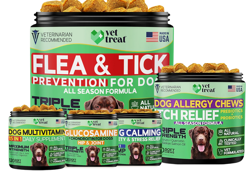 INCREASE THE HEALTH-SPAN OF YOUR BELOVED DOG